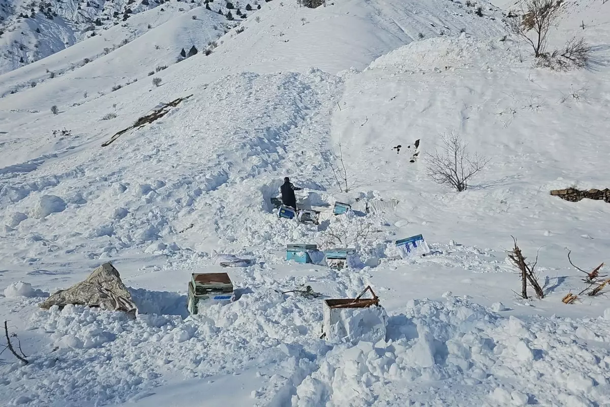 Şırnak\'ta çığ faciası, bir kişi yaşamını yitirdi