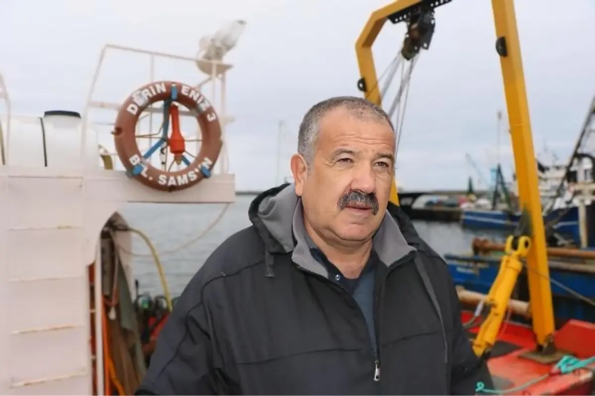 Hamsi Gürcistan\'a Göç Etti