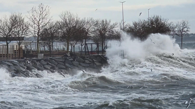 THY uçağı zorlu rüzgar şartlarına rağmen başarılı bir şekilde piste iniş yaptı