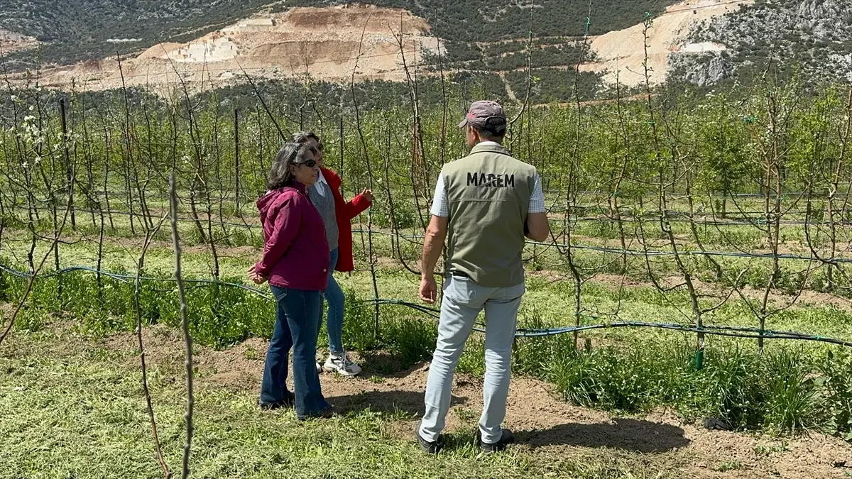 Isparta\'da Elma Islah Çalışmaları