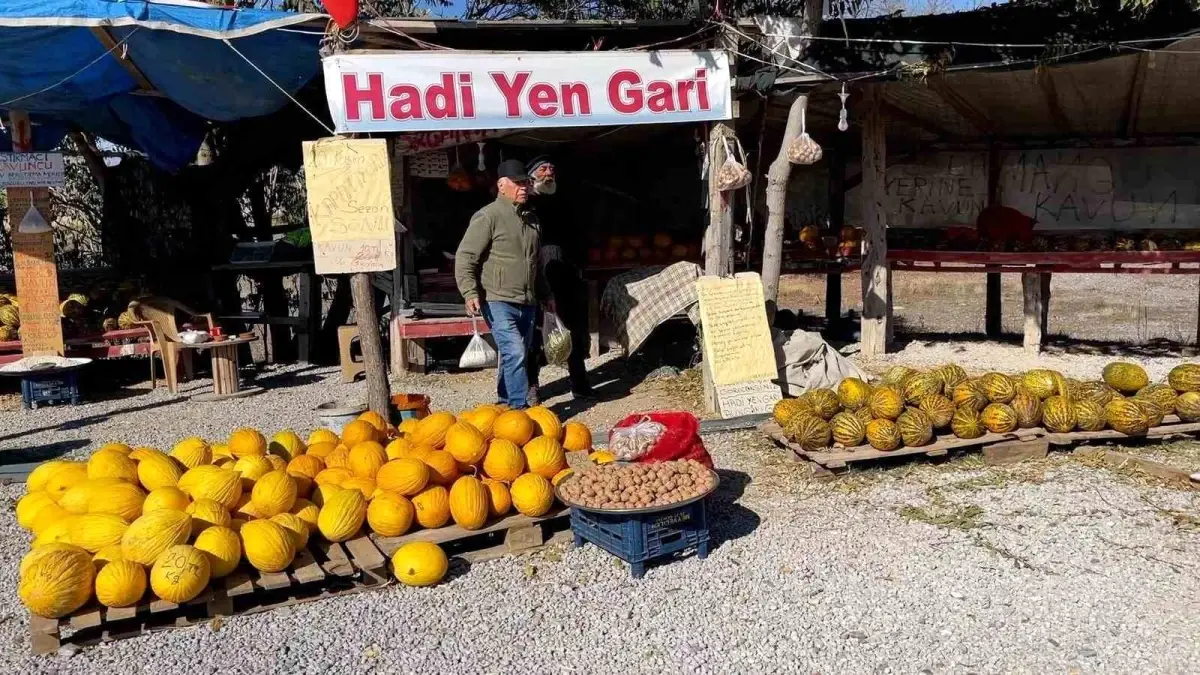 Araştırmacı Kavuncu: Halit Tekin\'in Tohum Koruma Çabası