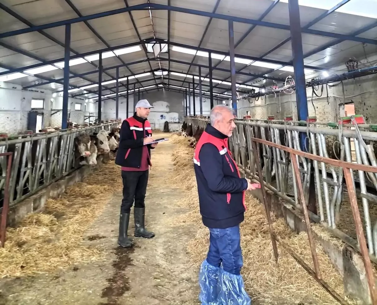 Afyon\'da Besicilik Kapasite Ölçümleri Devam Ediyor