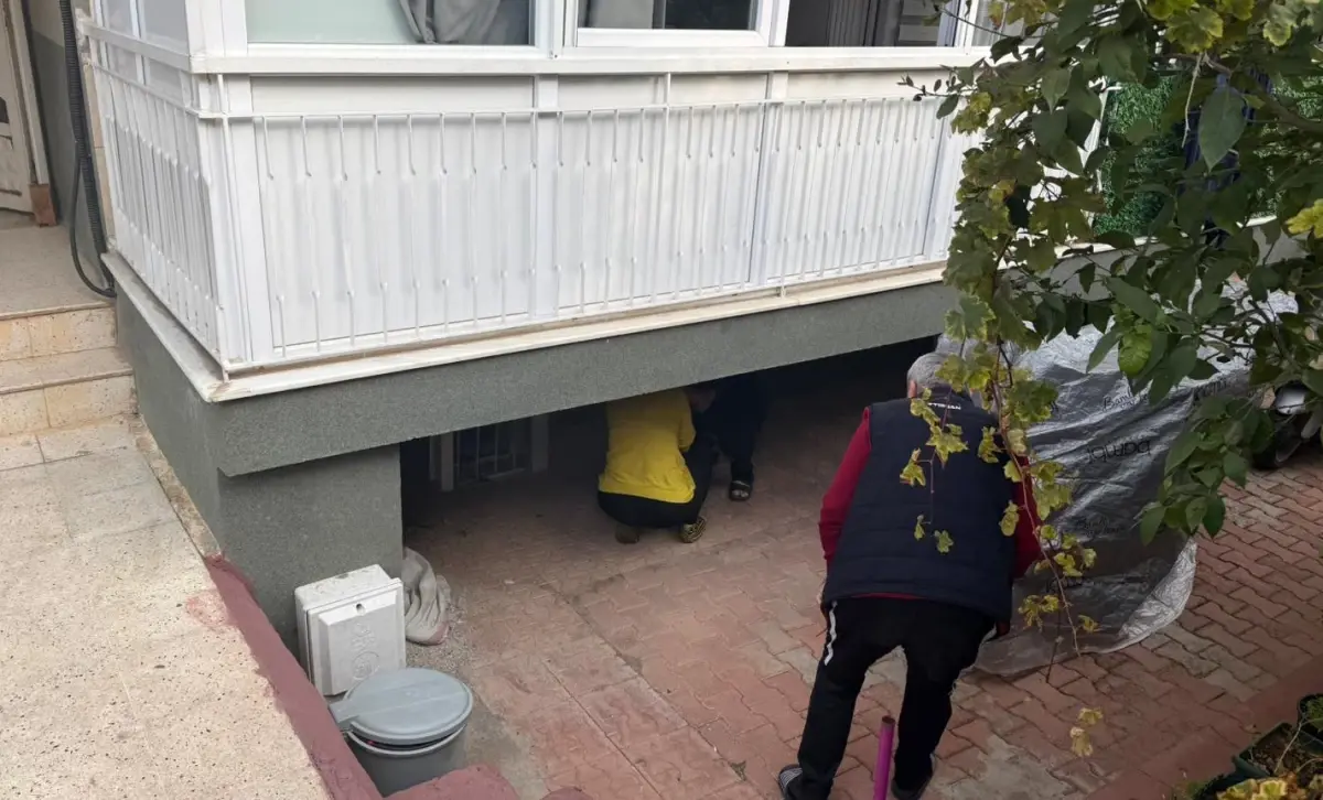 Antalya\'da Yangın Panik Yarattı