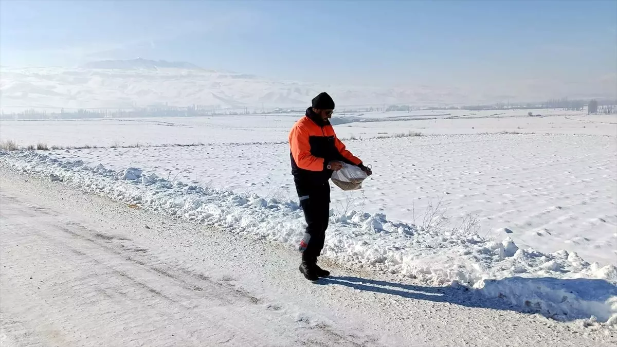 Sokak Hayvanlarına Kış Desteği