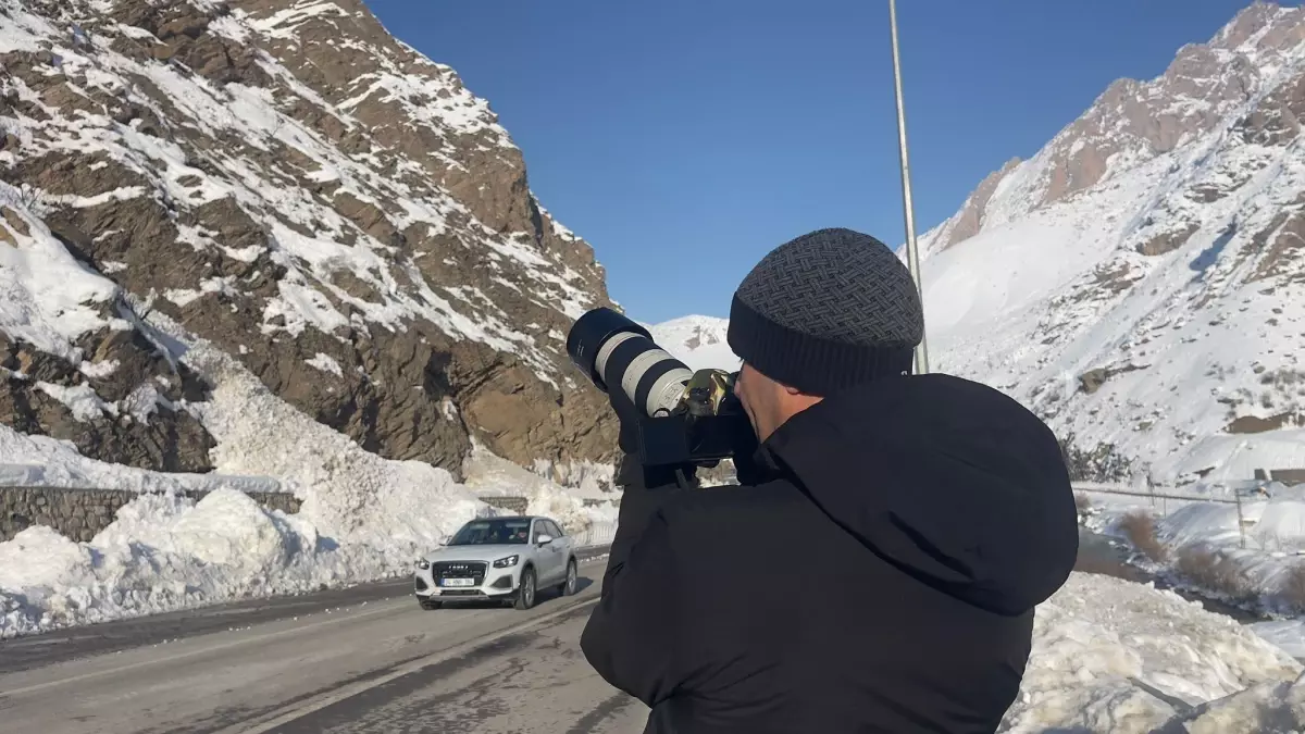 Hakkari\'de Yaban Keçileri Açlıkla Mücadele Ediyor