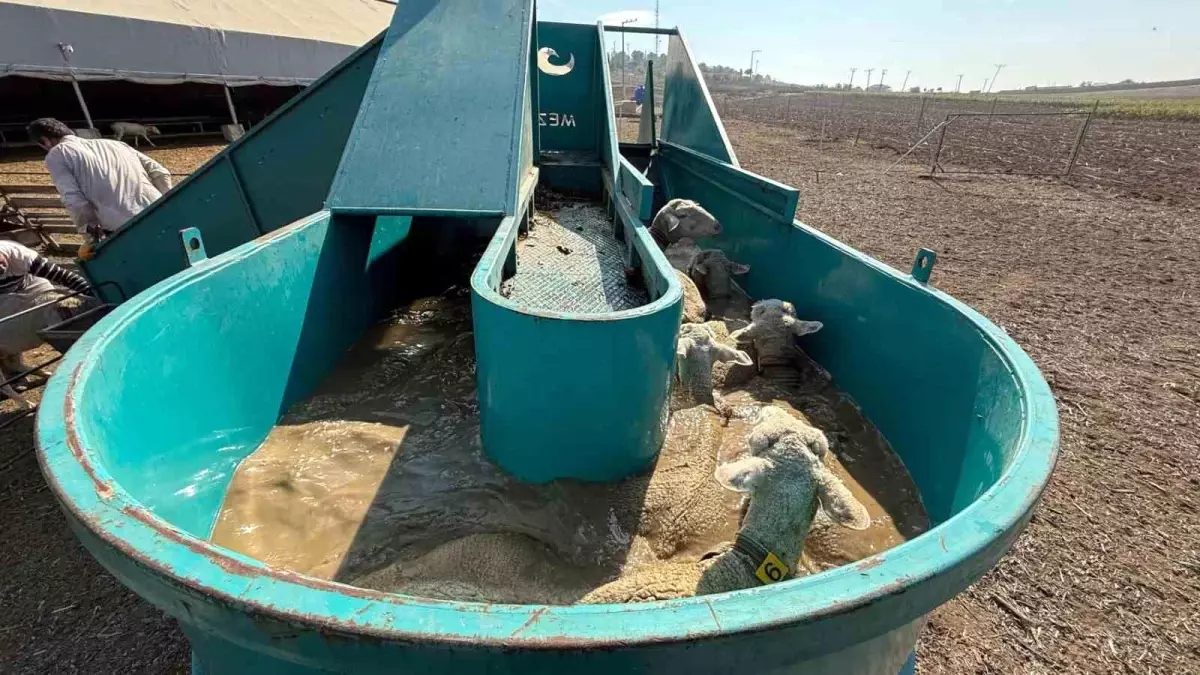 İnegöl Belediyesi\'nden Tarıma Büyük Destek