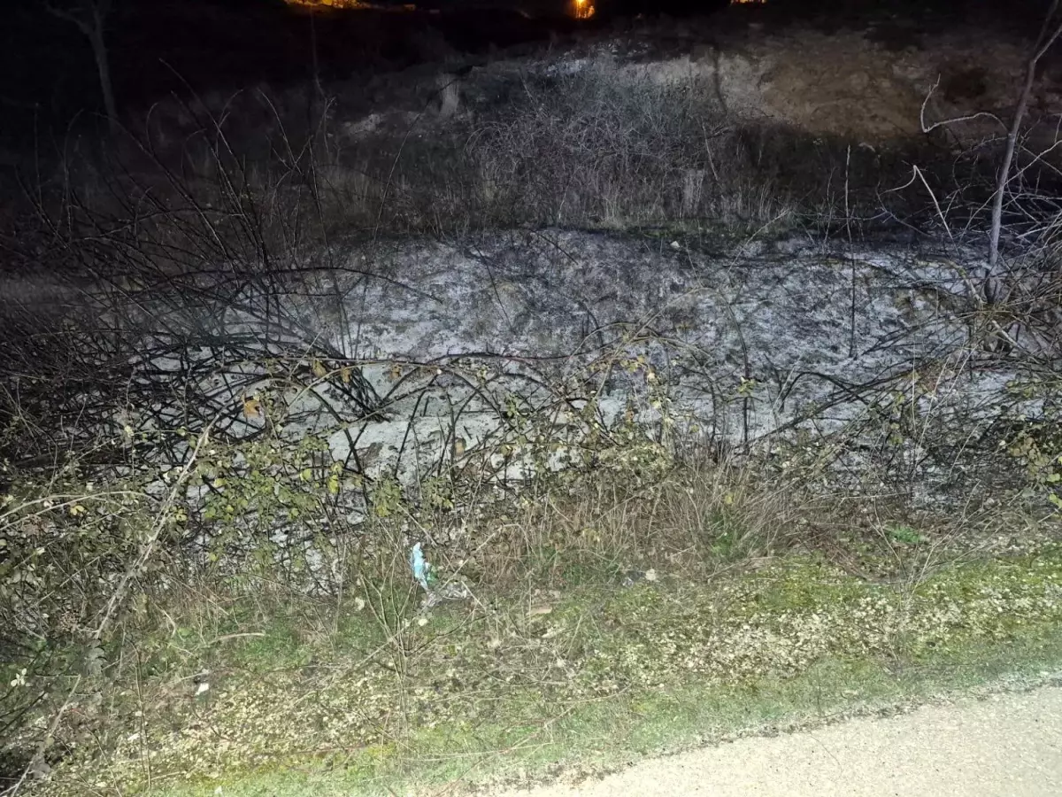 Bilecik\'te Ot Yangını Kontrol Altına Alındı