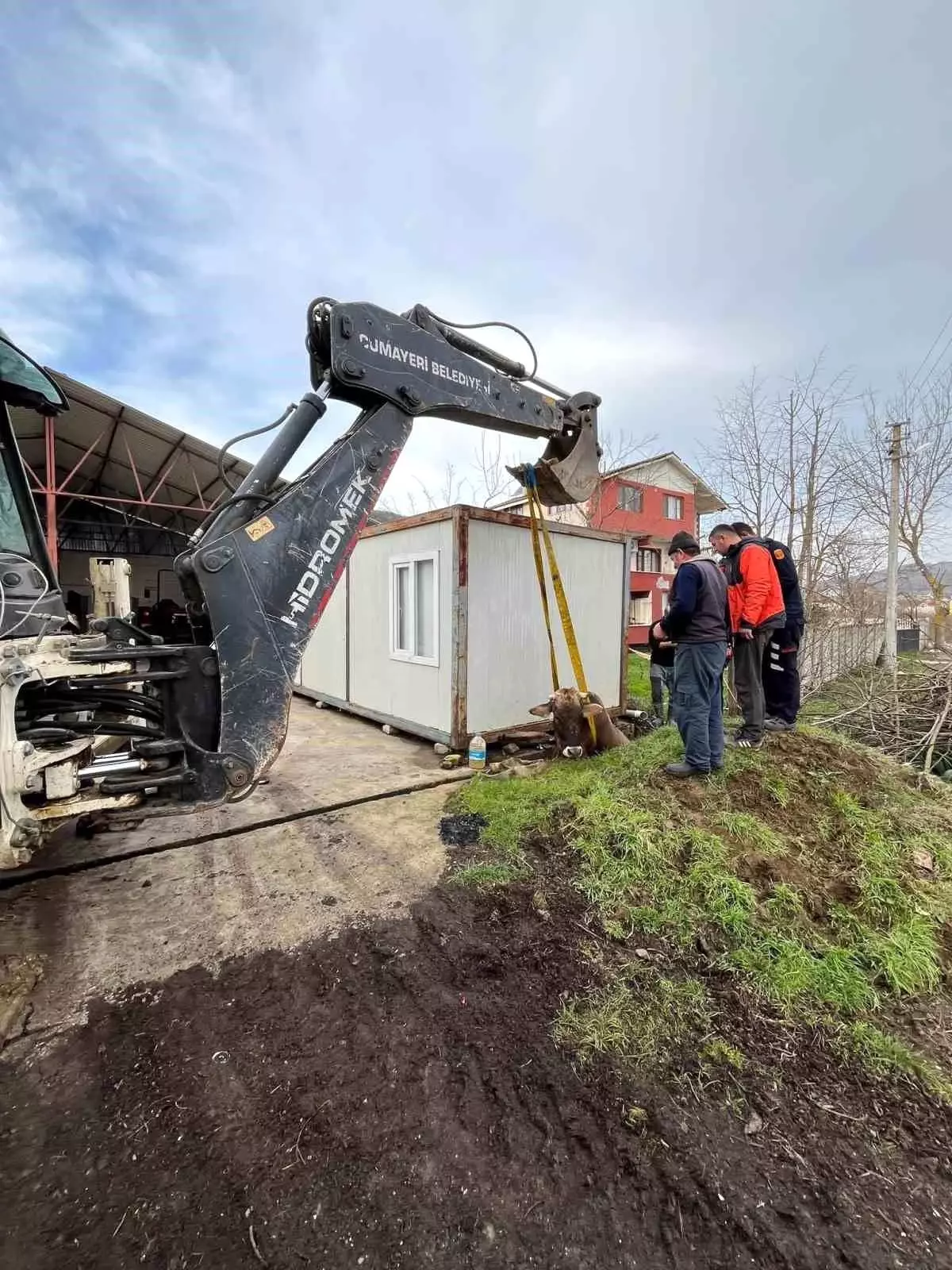 Kuyuya düşen ineği itfaiye kurtardı