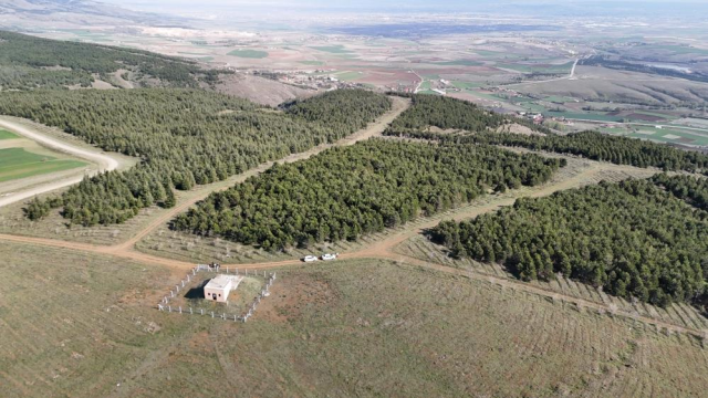 Vahşi cinayet zanlısı önce boğmuş sonra 2 gün art arda yakmış Vahşi cinayet zanlısı önce boğmuş sonra 2 gün art arda yakmış