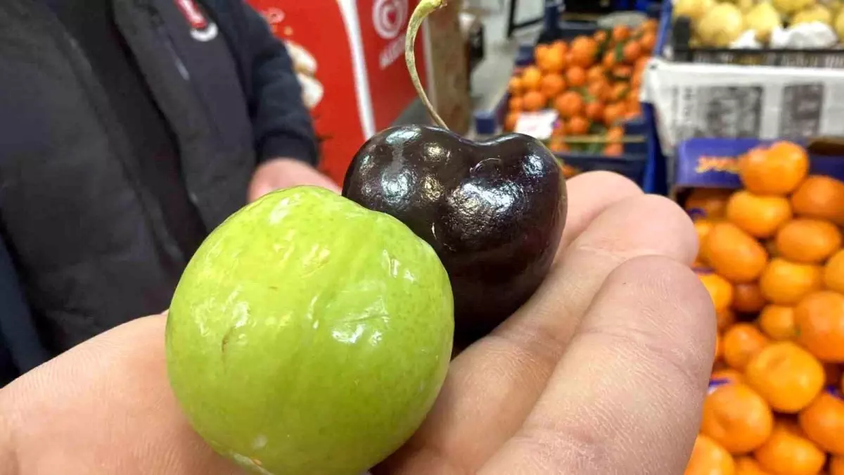 Düzce\'de Kışın Yaz Meyveleri Satışı!