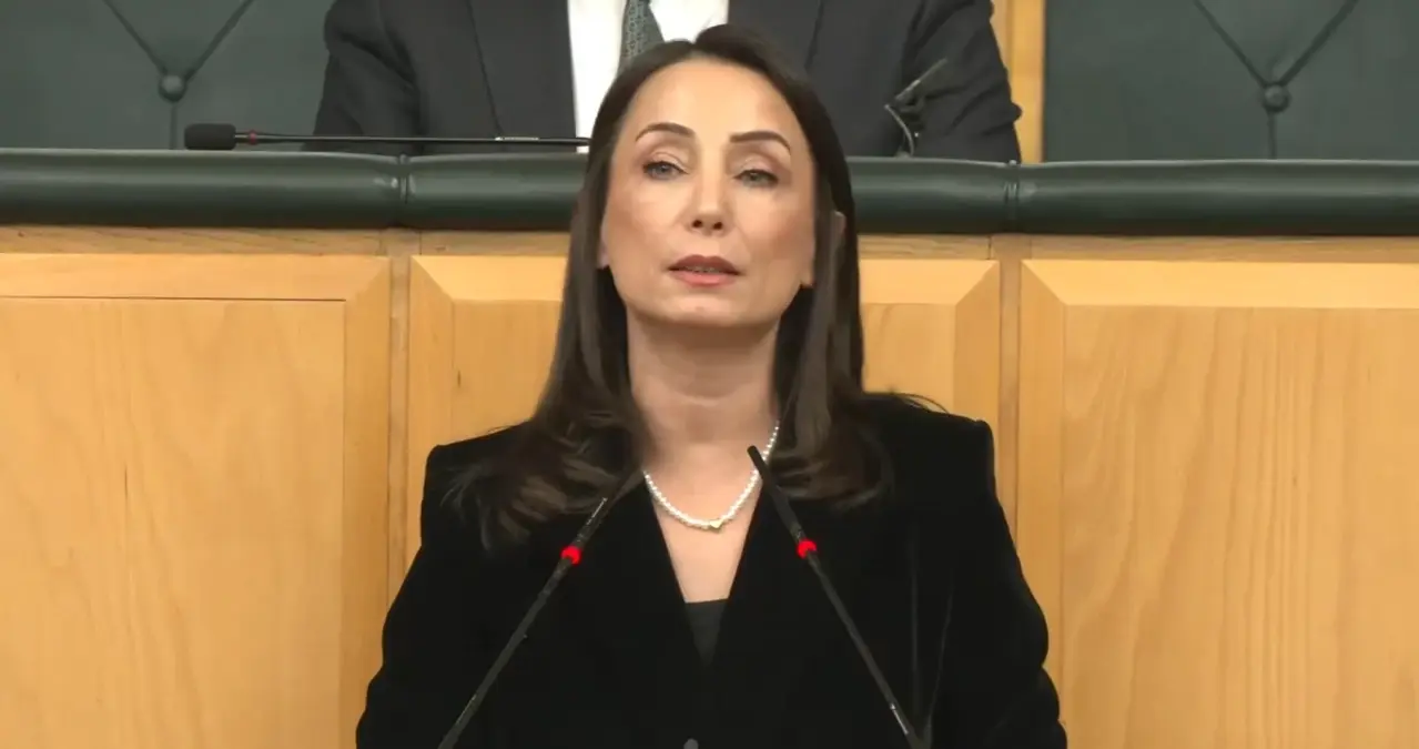 Hatimoğulları: İlk etapta Öcalan\'a özgür iletişim koşulları sağlanmalıdır