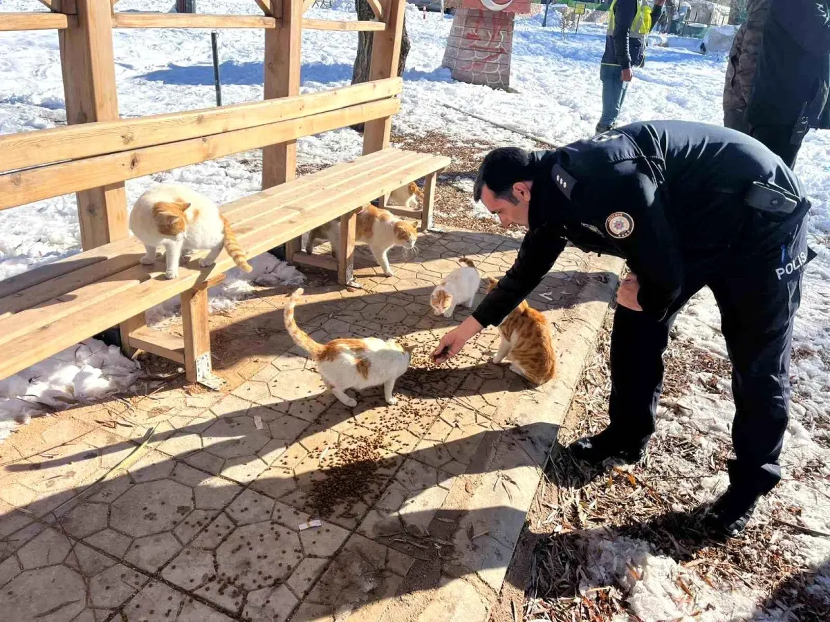 Polisten Sokak Hayvanlarına Mama Desteği