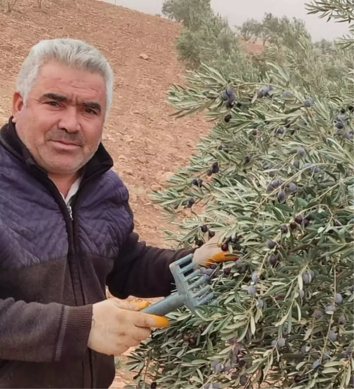 Asansör Boşluğuna Düşen Adam Hayatını Kaybetti