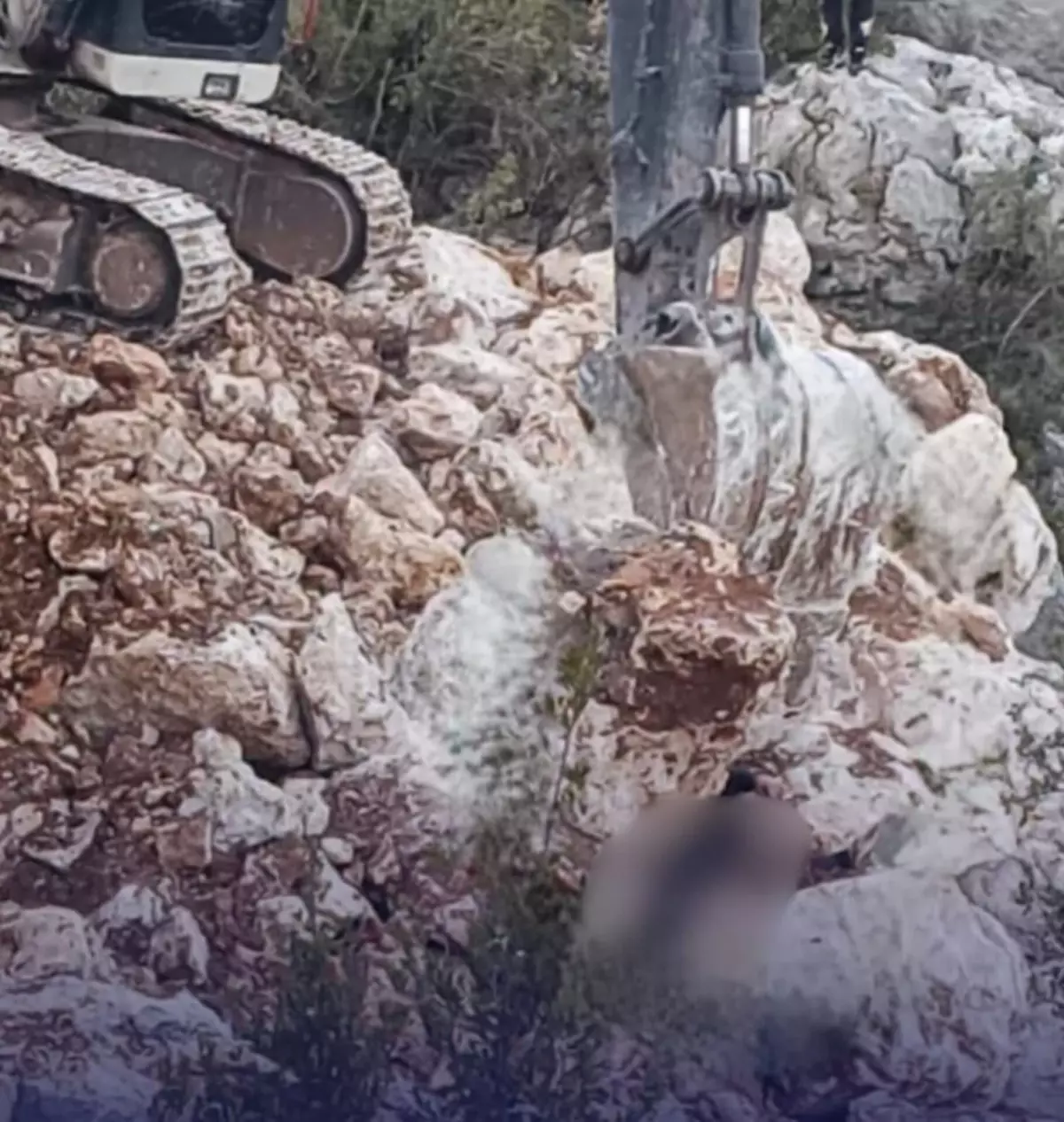 Üzerine çıktığı duvarın çökmesi sonucu kayaların altında kalıp öldü