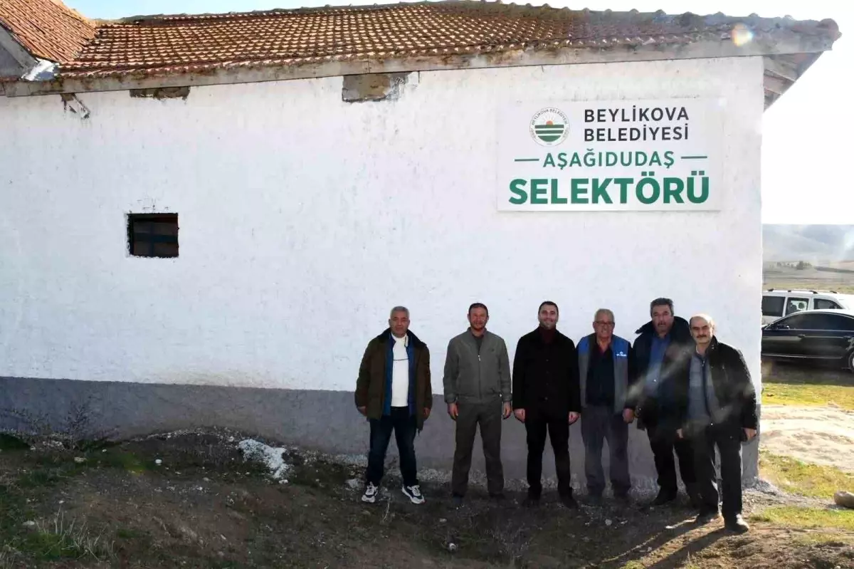 Beylikova Belediyesi\'nden Aşağıdudaş Mahallesi\'ne selektör tesisi