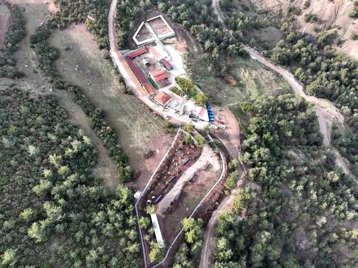 Bilecik\'te can dostlar emin ellerde