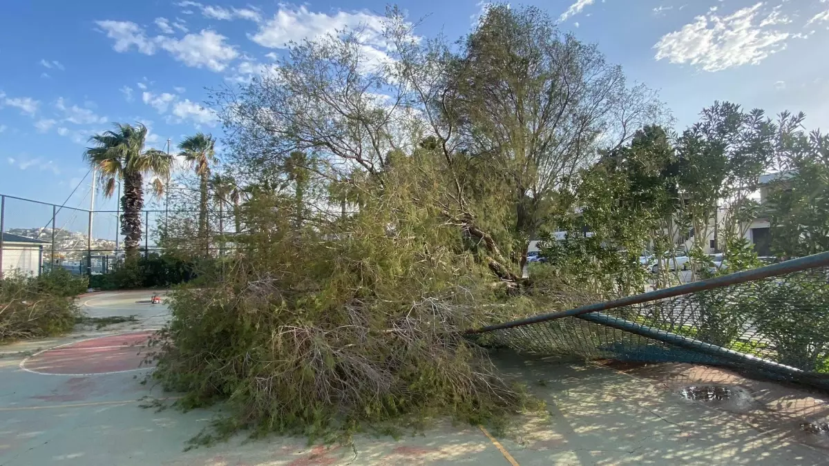 Bodrum\'da Fırtına: Feribot Seferleri İptal Edildi
