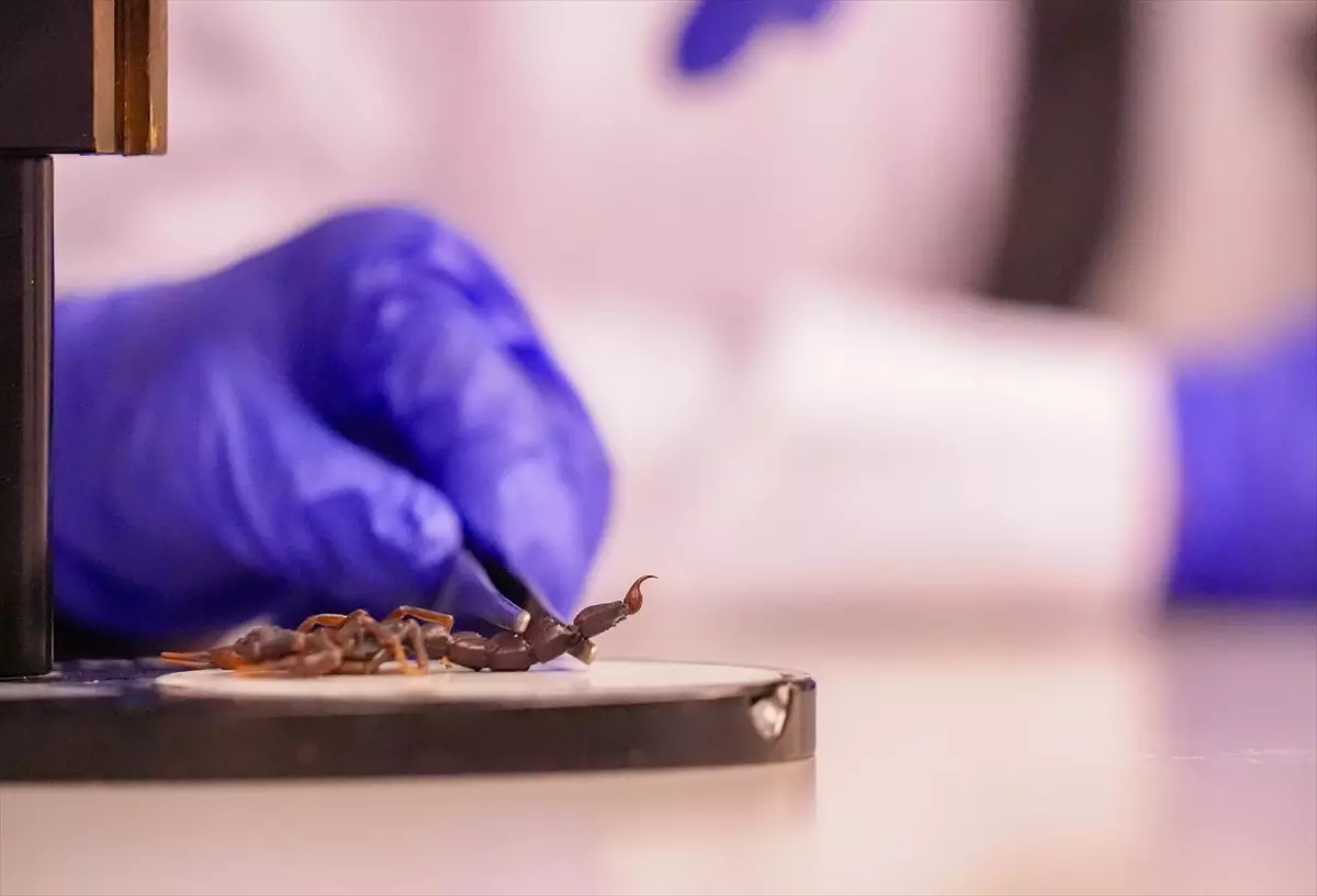 Diyarbakır\'da Akrep Üretimi ve Bilimsel Destek