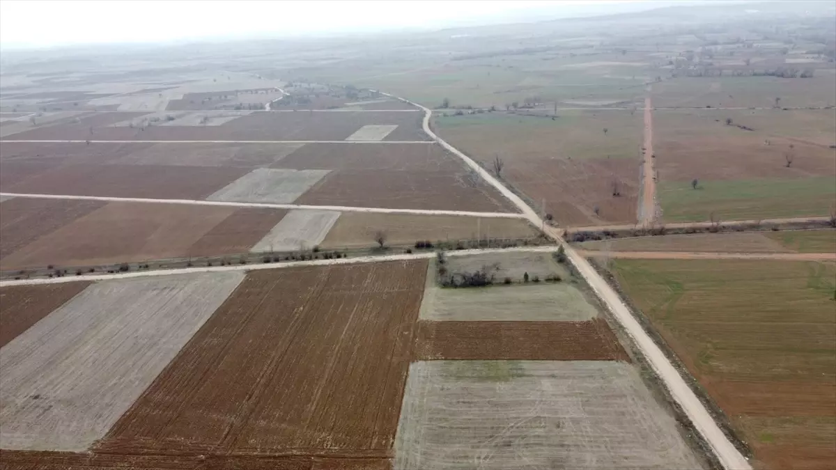 Eskişehir ve Kütahya\'da Arazi Toplulaştırma Çalışmaları