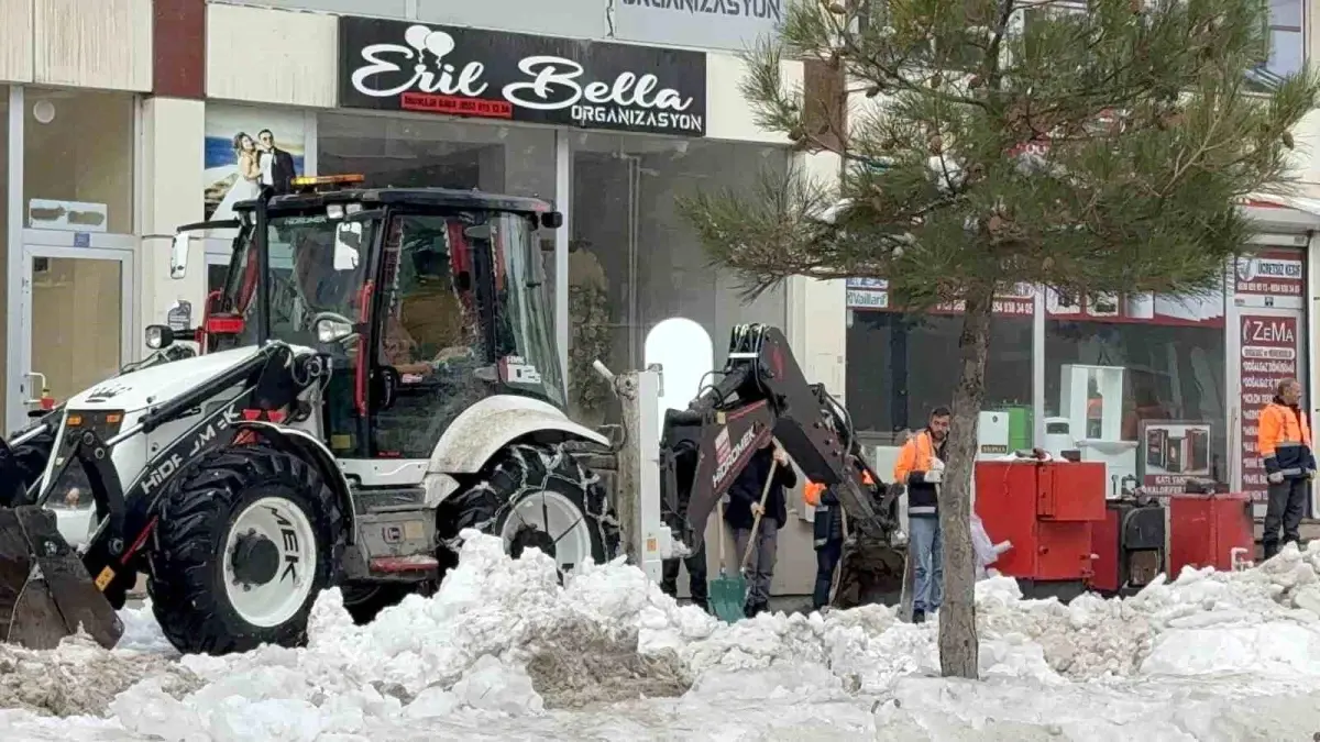 Tatvan\'da Kar Kütlesi Altında Kalan Genç Kız Hayatını Kaybetti