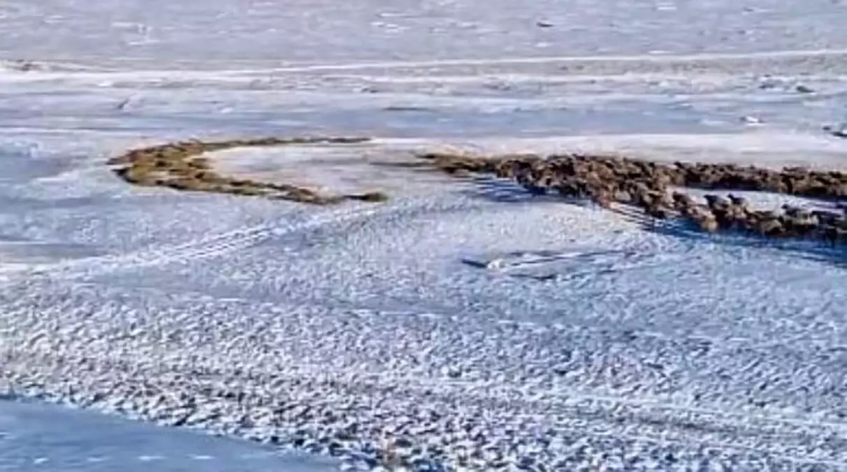 Kars\'ta Genç, Kar Üzerine Ay Yıldız Çizdi