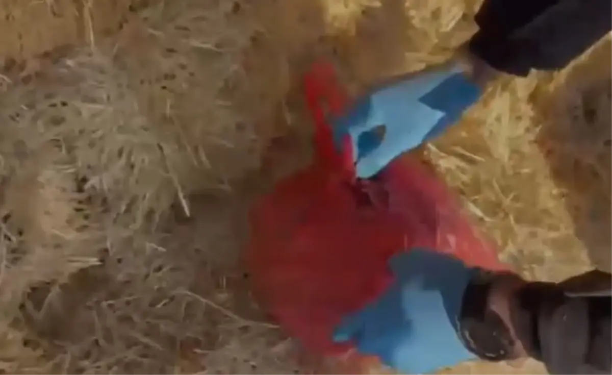 Kayseri\'de Uyuşturucu Operasyonu: 1,4 kg Ele Geçirildi