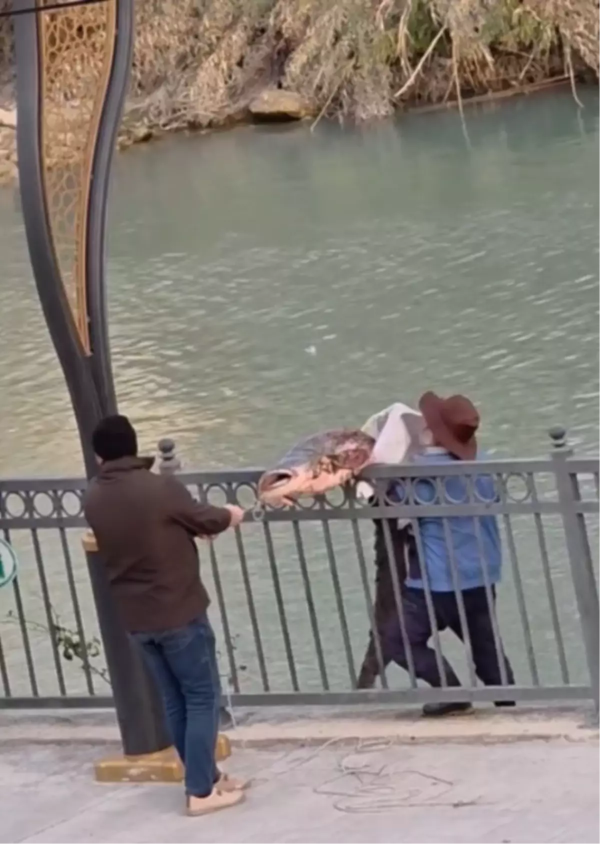 Silifke\'de 30 Kiloluk Yayın Balığı Yakalandı