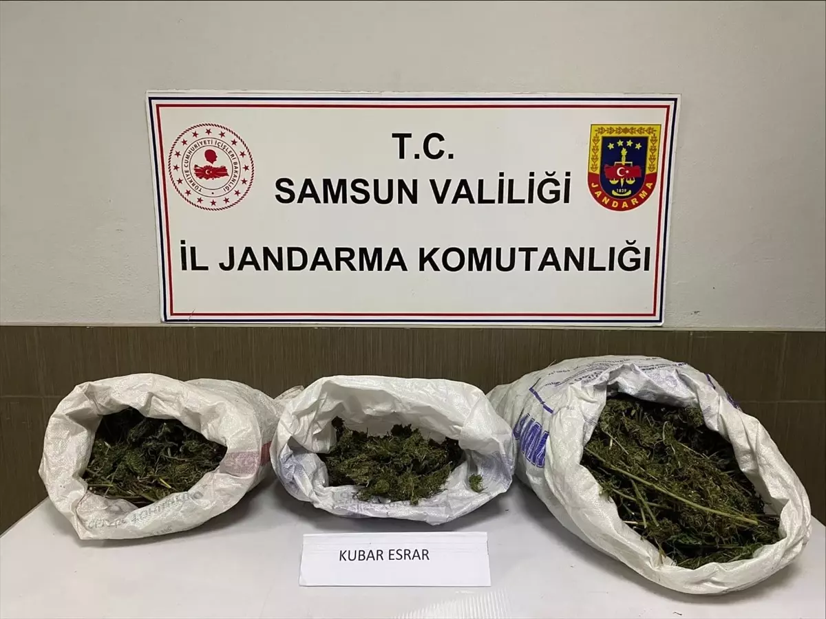 Samsun\'da Esrar Operasyonu: 6.2 kg Ele Geçirildi