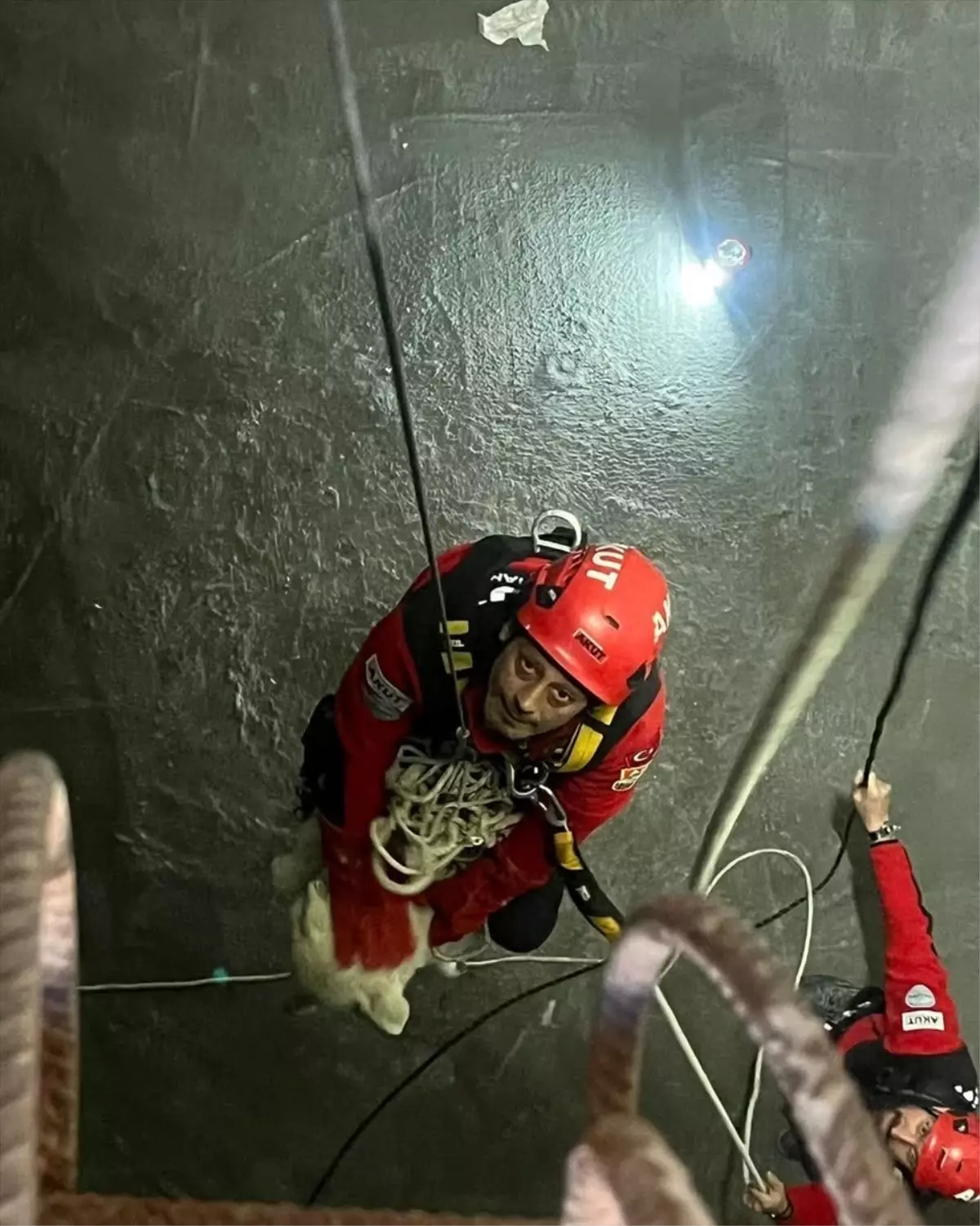 Çukura Düşen Köpek Kurtarıldı