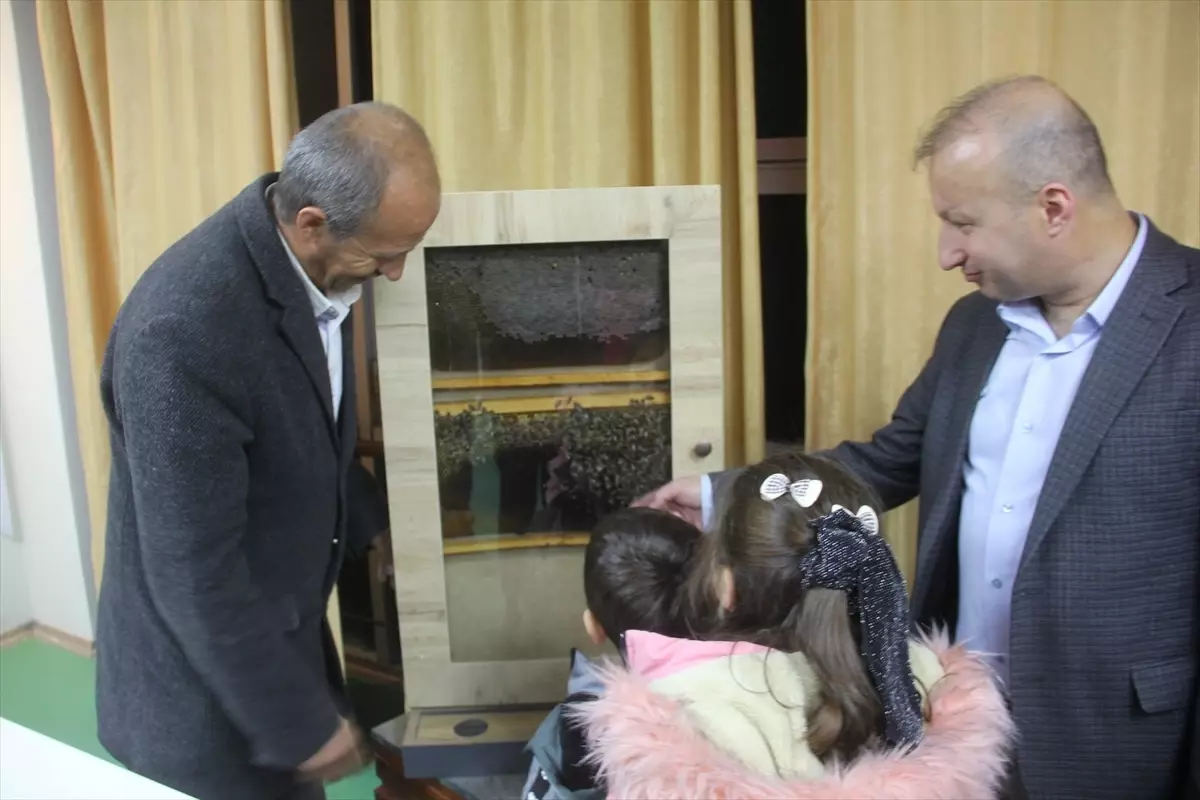 Zara\'da Arıcılık Kursu Düzenlendi