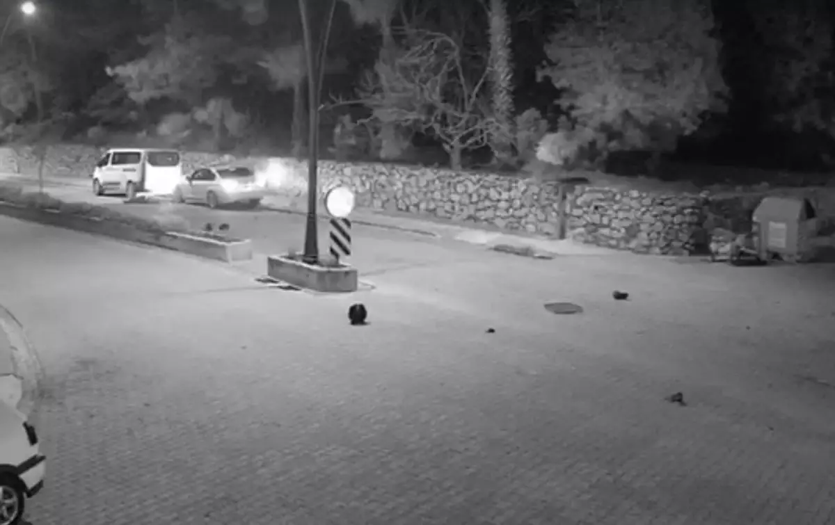 Marmaris\'te Trafik Kazası: 2 Yaralı