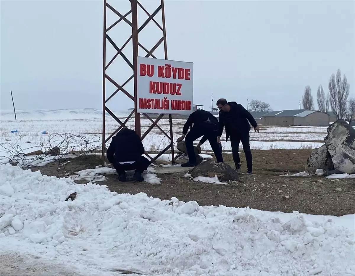 Adilcevaz\'da Kuduz Karantinası