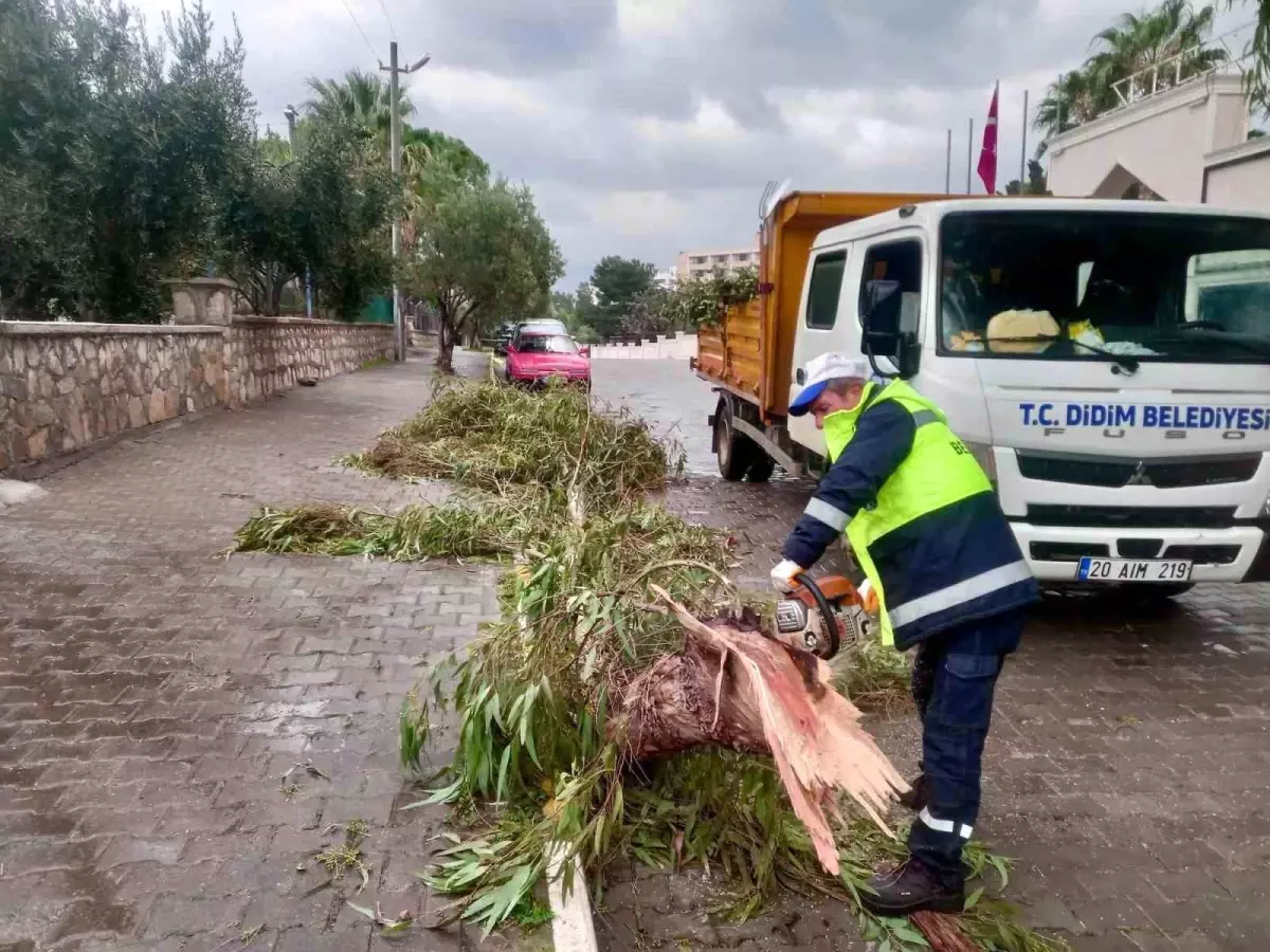Didim Belediyesi sahada çalışmalarını sürdürüyor