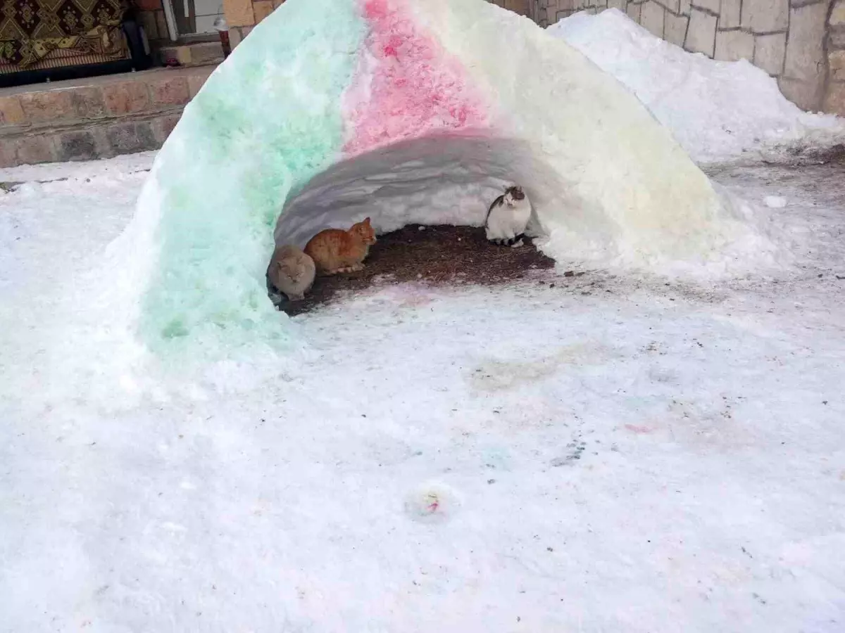 Diyadin\'de Sokak Hayvanlarına Kar Tünelleri