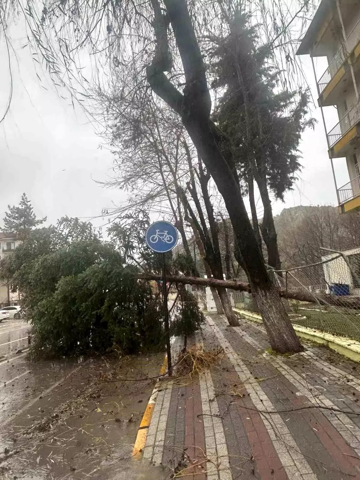 Dursunbey\'de fırtına ağaçları ve çatıları uçurdu