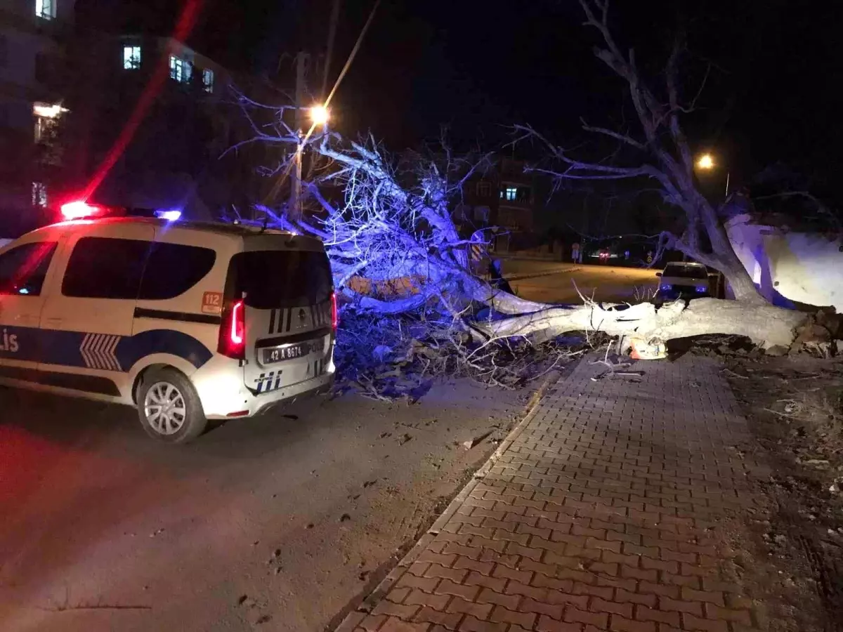 Ereğli\'de Şiddetli Fırtına Hasara Neden Oldu