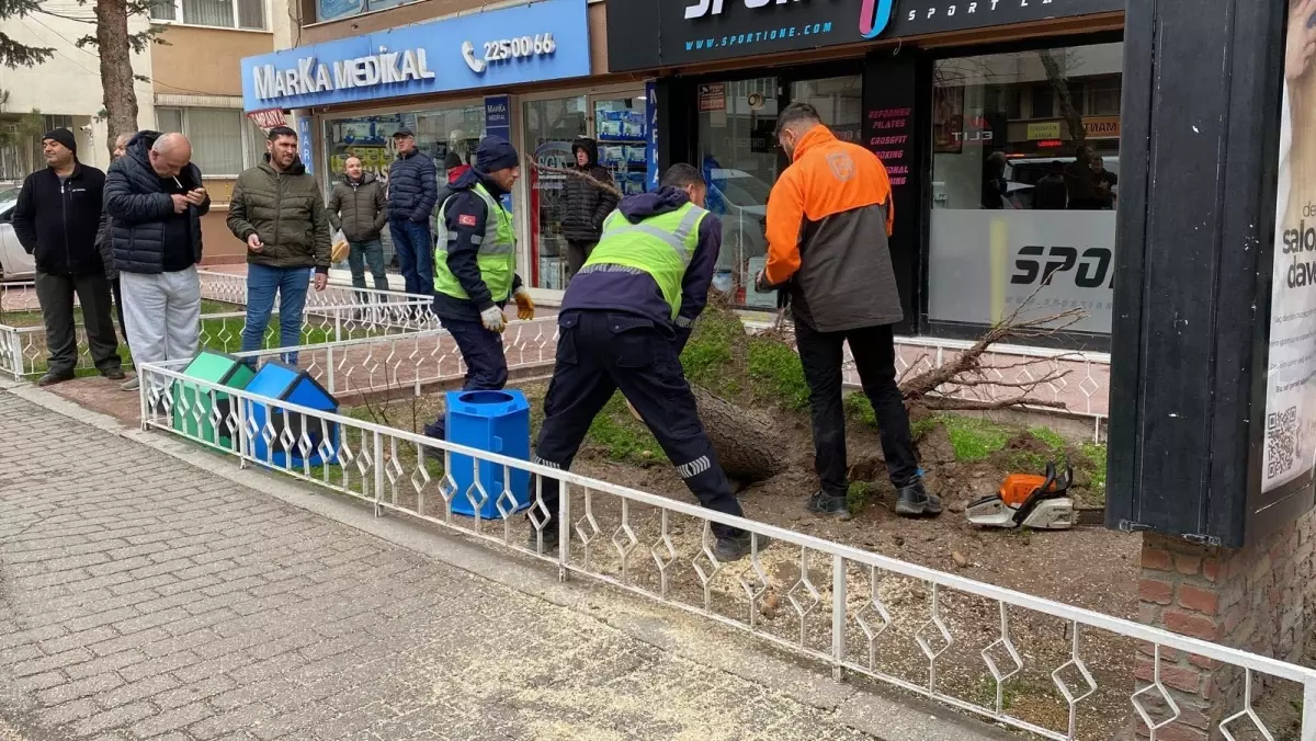 Eskişehir\'de Kuvvetli Rüzgar Hayatı Olumsuz Etkiliyor