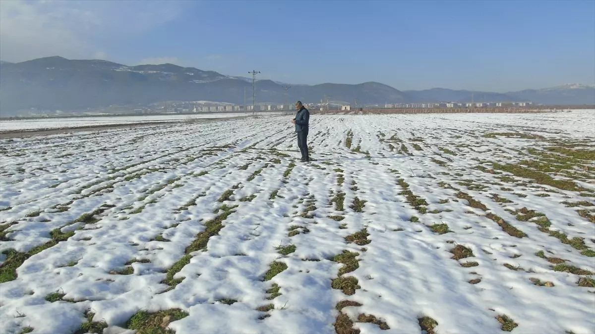 İslahiye\'de Kar Yağışı Çiftçileri Sevindirdi