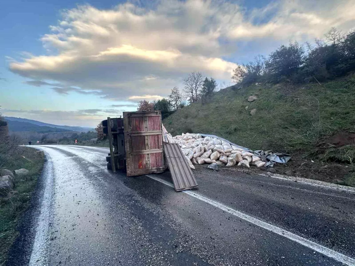 Gönen\'de Yem Yüklü Kamyon Devrildi