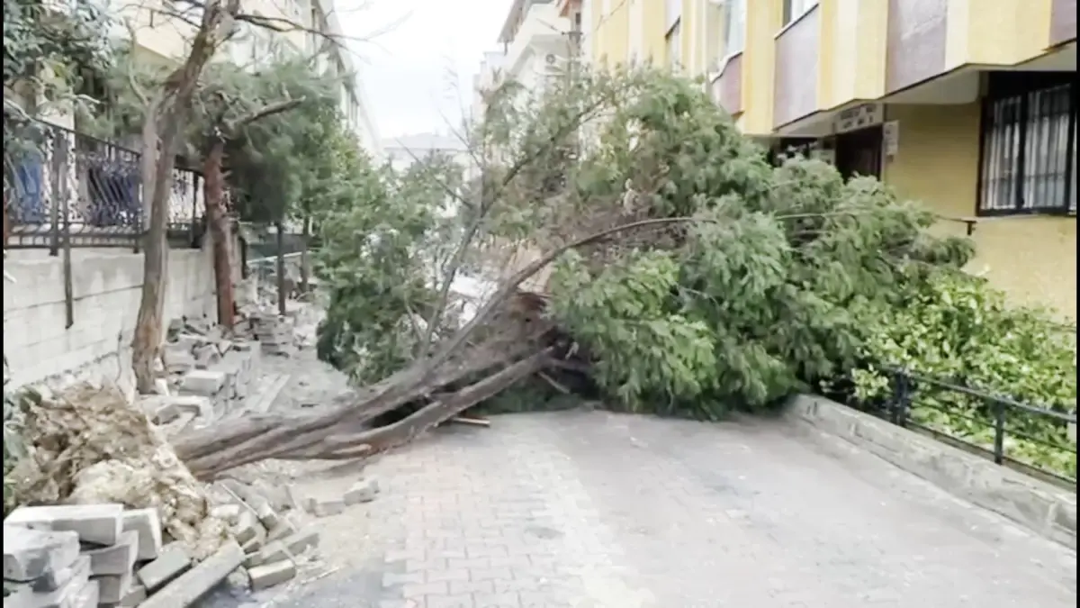 İstanbul\'da Şiddetli Rüzgar Hasara Yol Açtı
