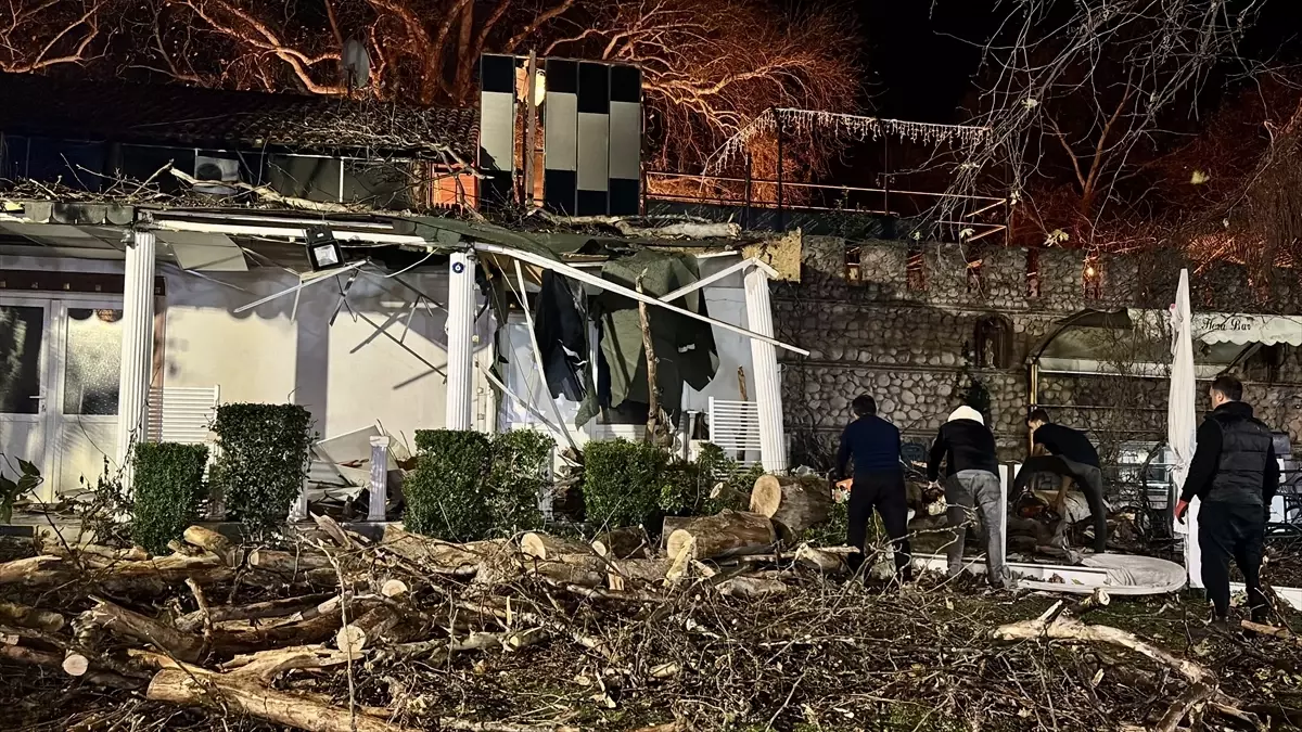 Şiddetli Rüzgar Ağaç Devrildi, Hasar Oluştu