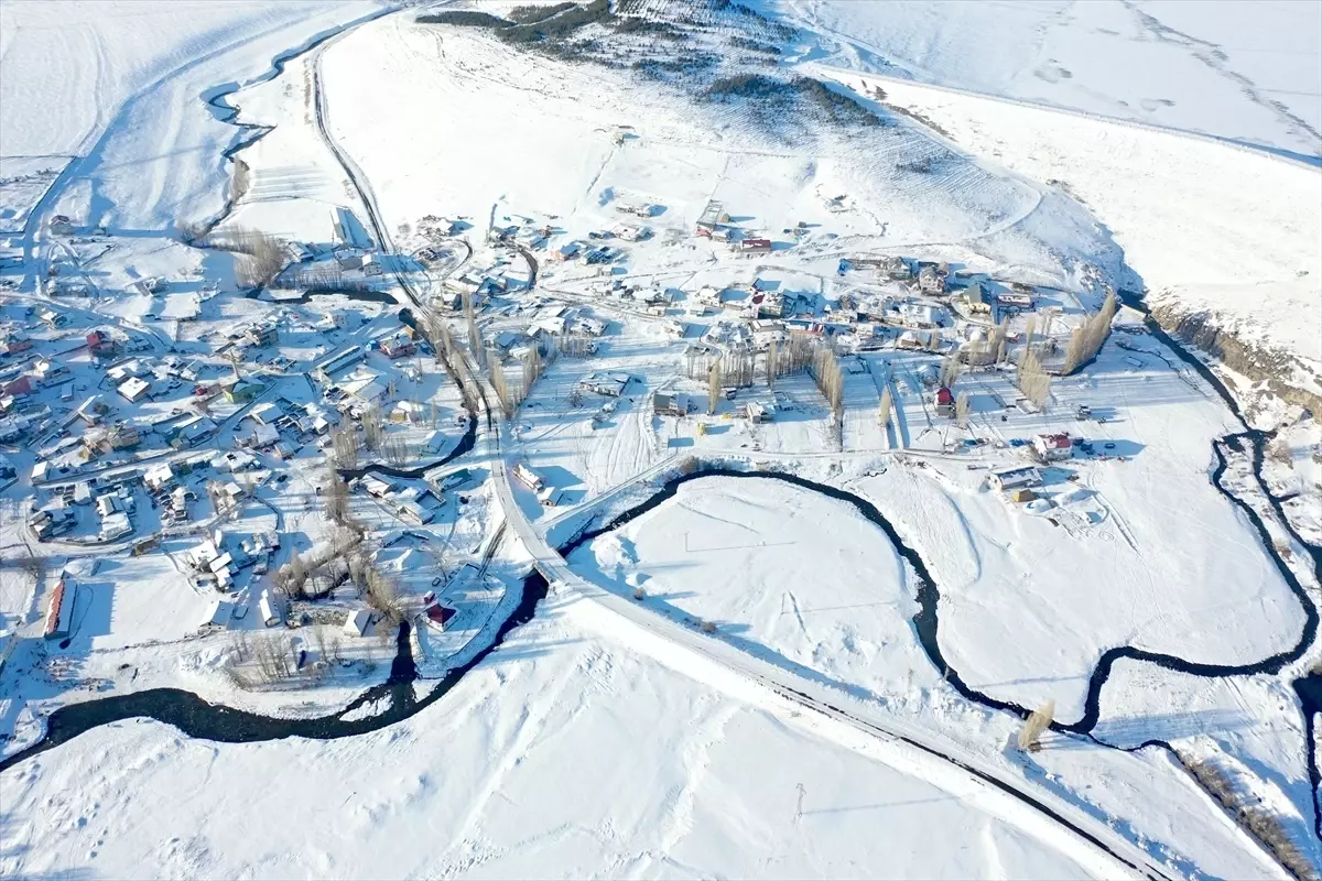 Menderesler, Kars\'ta Hayvancılığa Can Veriyor