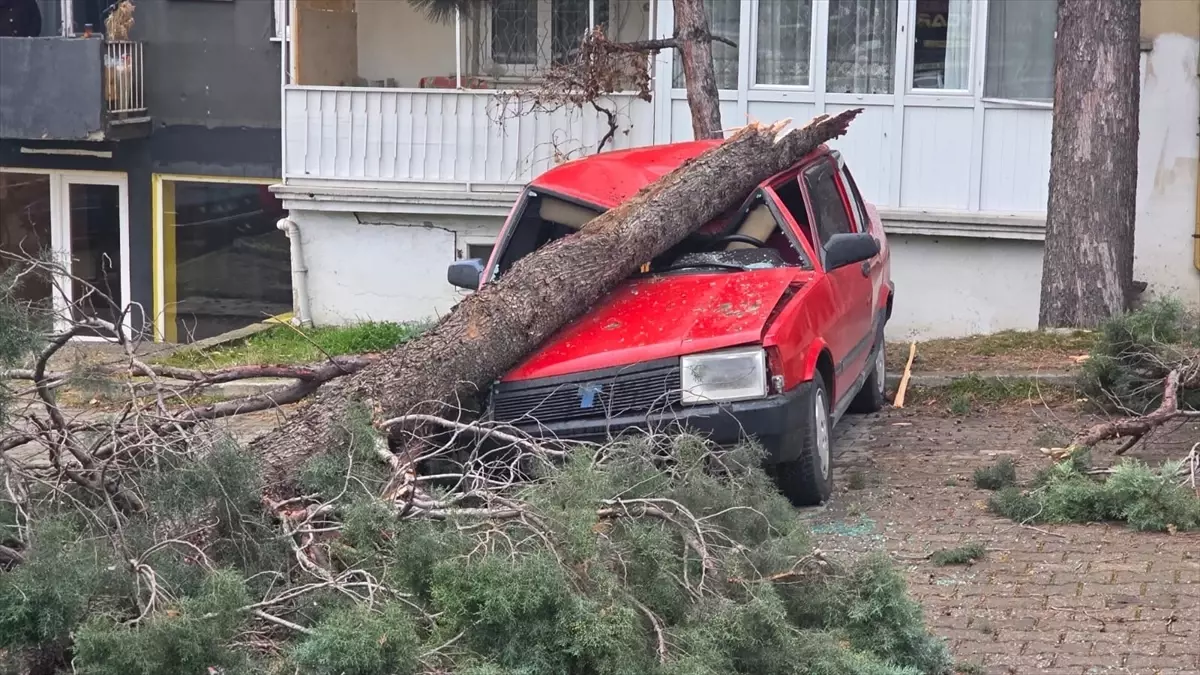 Kütahya\'da Rüzgar Hayatı Olumsuz Etkiledi