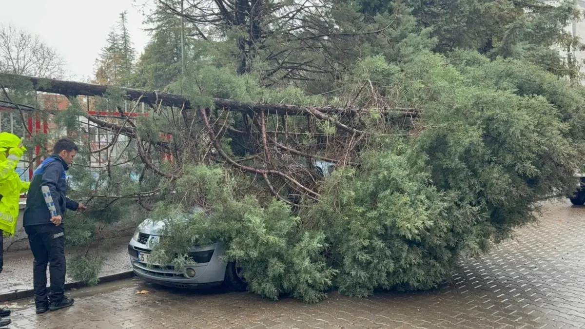 Manisa\'da Sağanak ve Rüzgar Felaketi