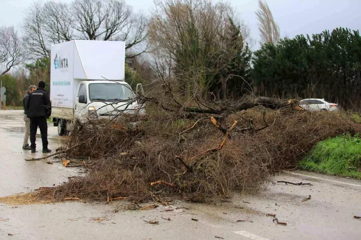 Osmangazi Belediyesi\'nden lodosa karşı etkin müdahale