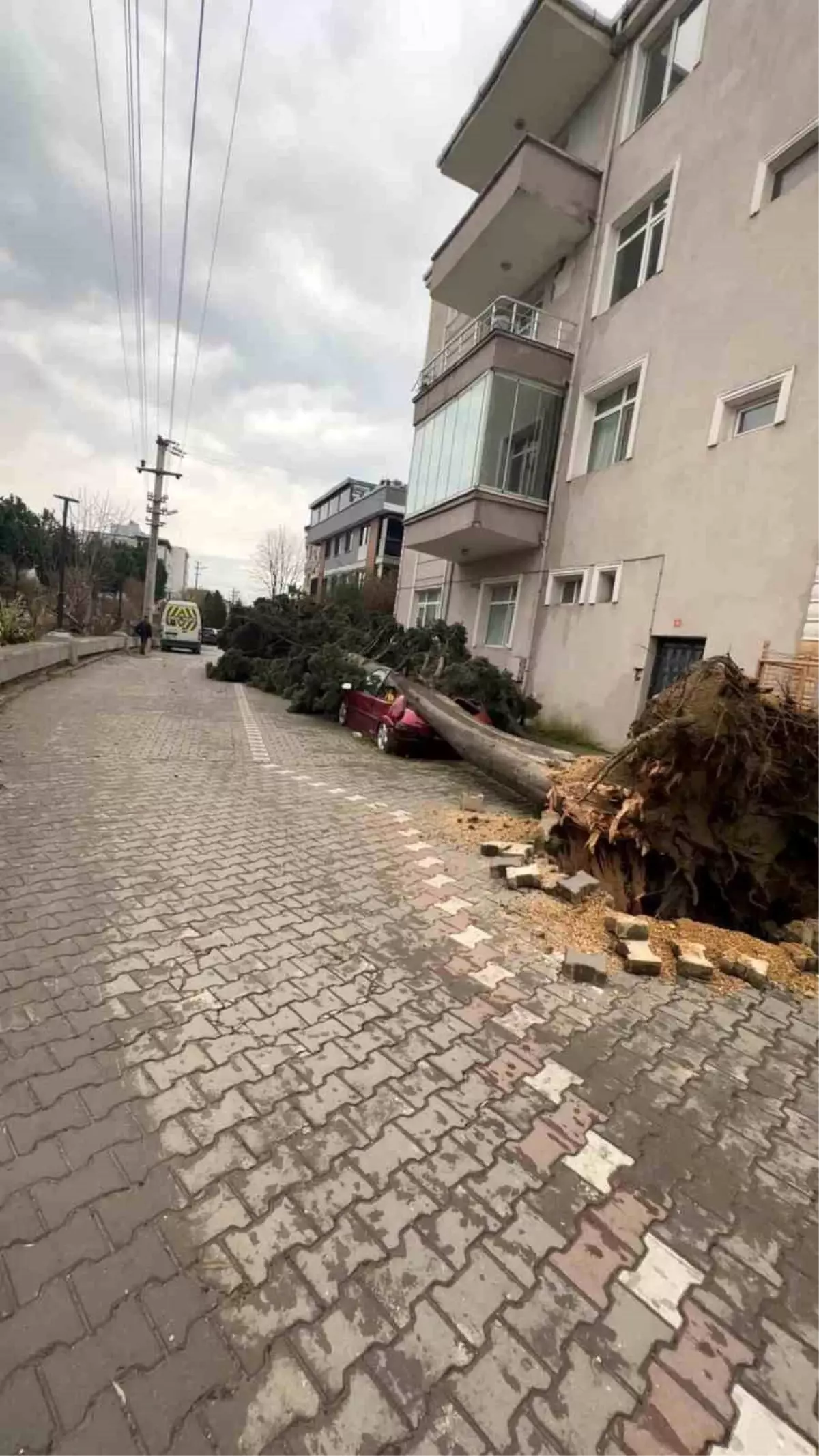 Yalova\'da Fırtına Hayatı Olumsuz Etkiledi