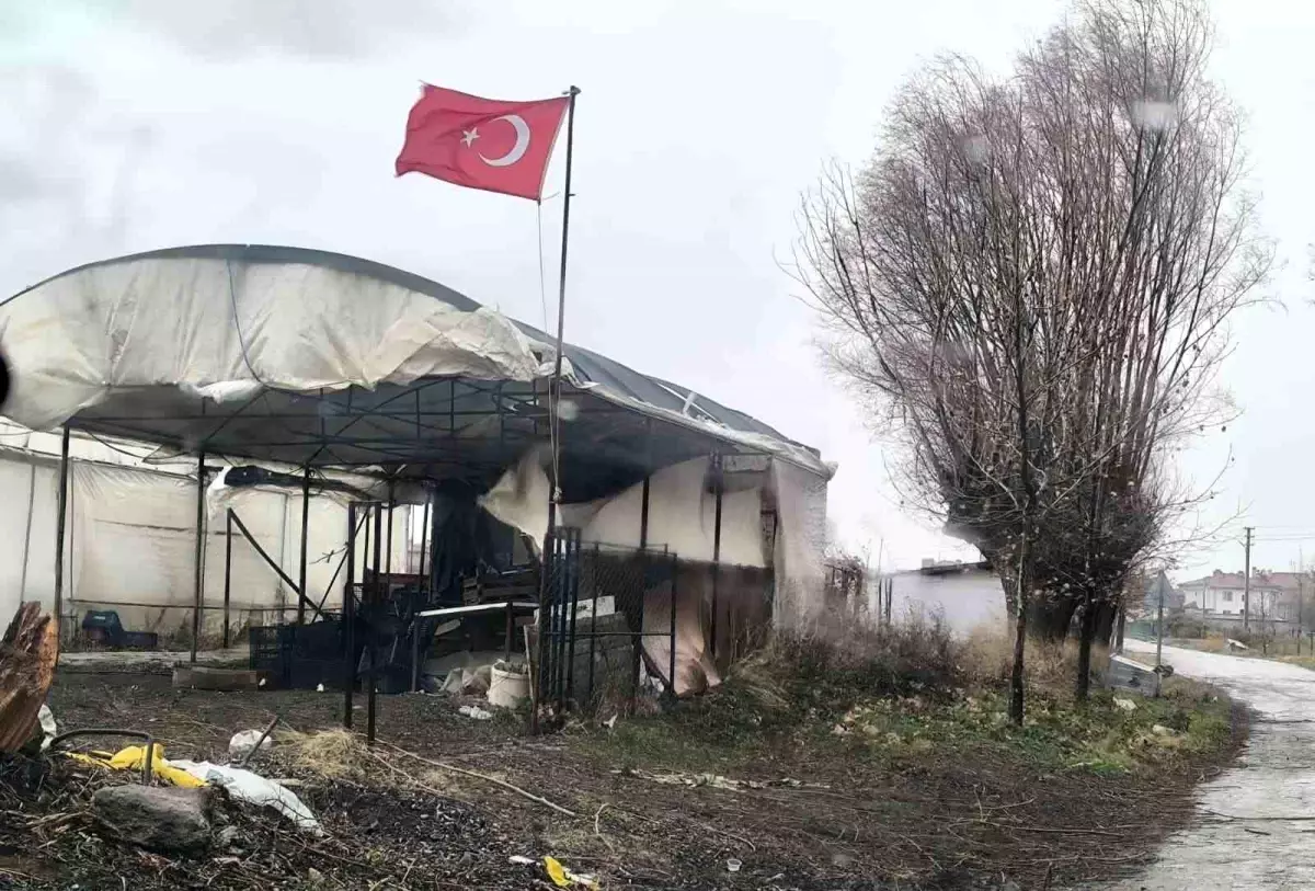 Fırtına Saksıyla Ölümden Döndü