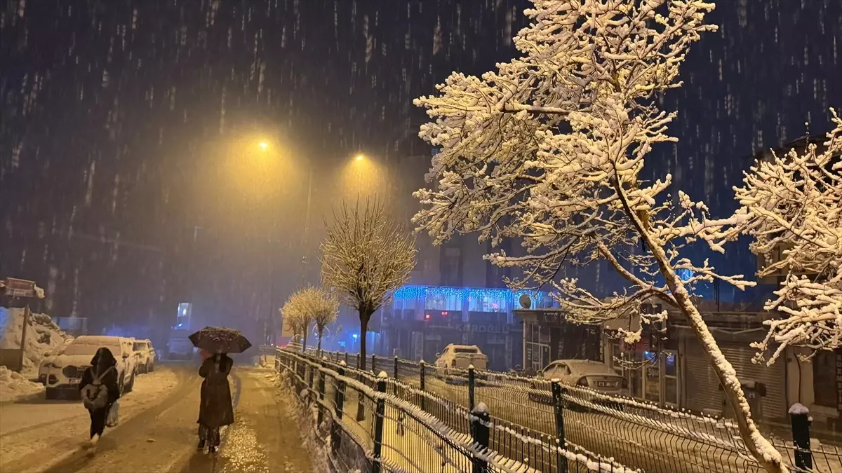 Hakkari\'de Kar Yağışı Ulaşımı Olumsuz Etkiledi