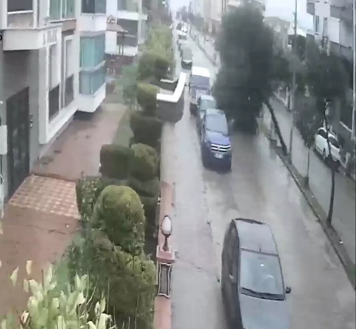 Nazilli\'de Fırtınada Devrilen Ağaç