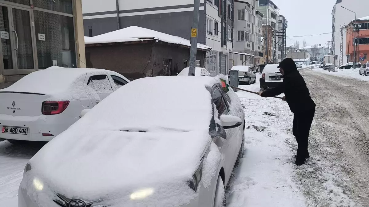 Kars\'ta Kar ve Soğuk Hava Etkili